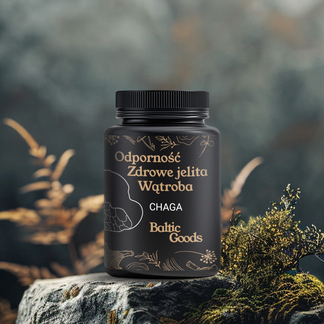 Chaga