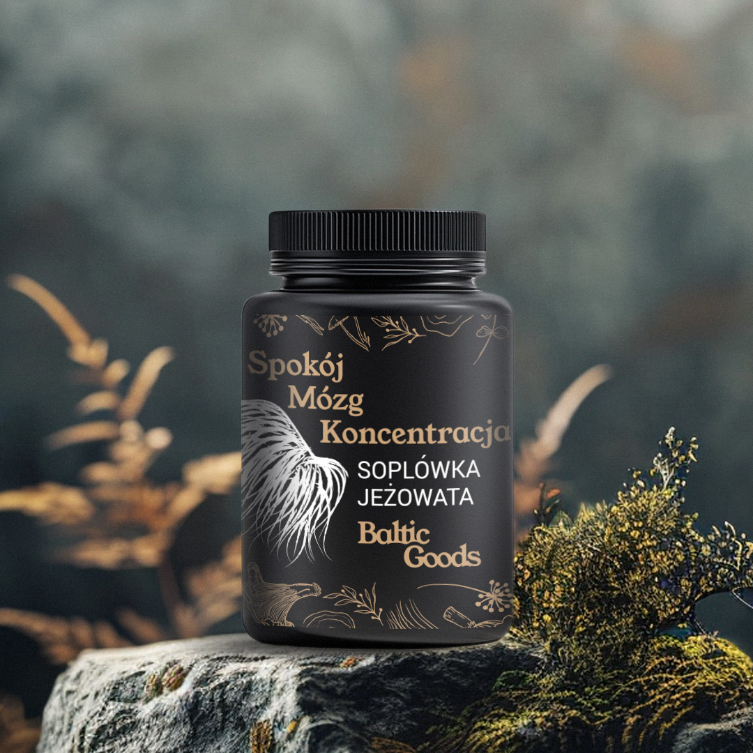 Soplówka Jeżowata (Lion’s Mane)